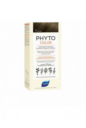 Nuolatinės spalvos dažymo...