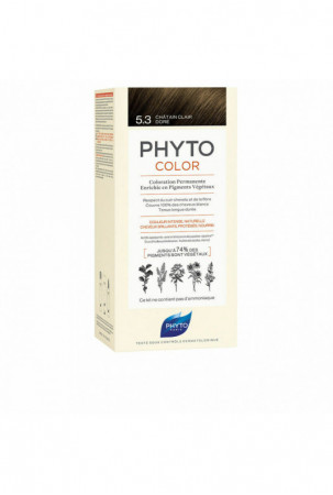 Nuolatinės spalvos dažymo...