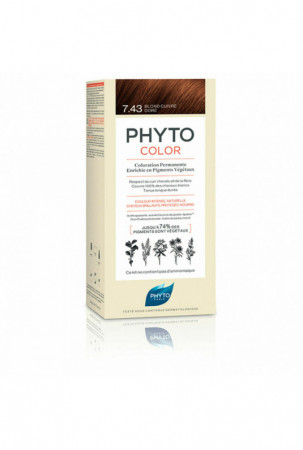 Nuolatinės spalvos dažymo...