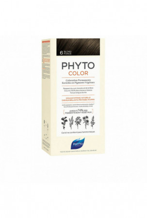 Nuolatinės spalvos dažymo...