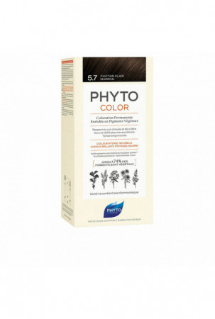 Nuolatinės spalvos dažymo...