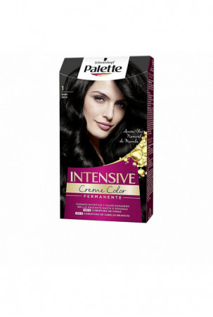 Ilgalaikiai dažai Palette...