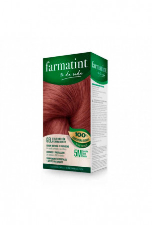 Ilgalaikiai dažai Farmatint...