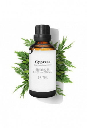 Eterinis aliejus Cypress...
