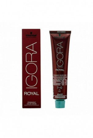 Ilgalaikiai dažai Igora...