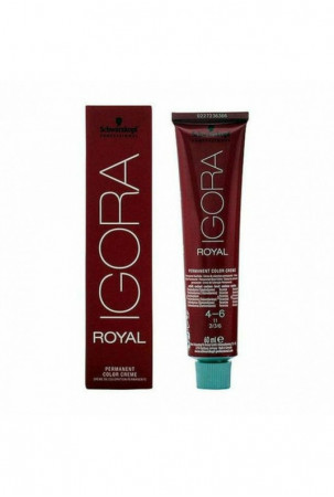 Ilgalaikiai dažai Igora...