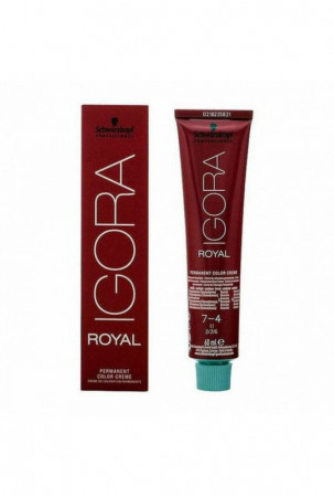 Ilgalaikiai dažai Igora...