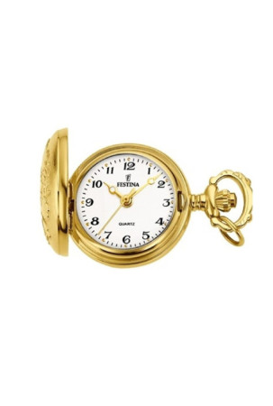 Laikrodis vyrams Festina...