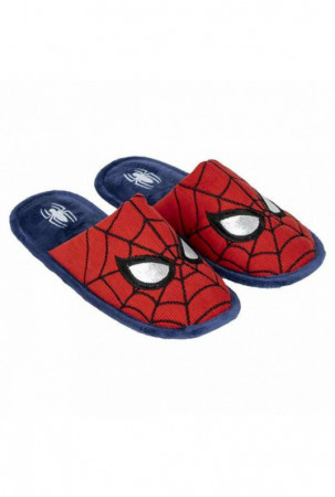 Namų šlepetes Spider-Man...