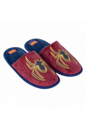 Namų šlepetes Spider-Man...