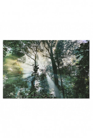 Paveikslas Home ESPRIT...