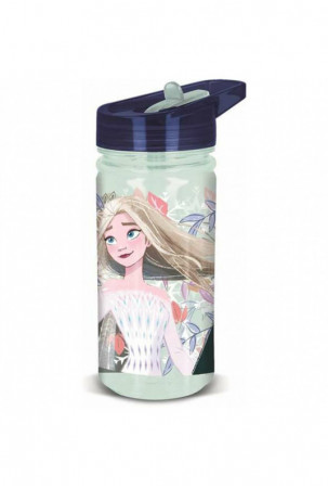 Vandens butelis Frozen...