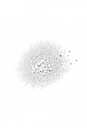 Veido tonikas Payot Les...