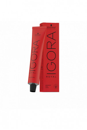 Nuolatinės spalvos dažymo...