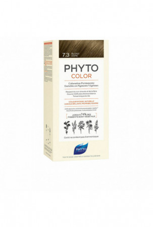 Nuolatinės spalvos dažymo...