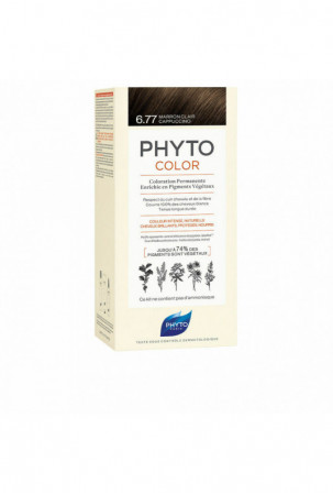 Nuolatinės spalvos dažymo...