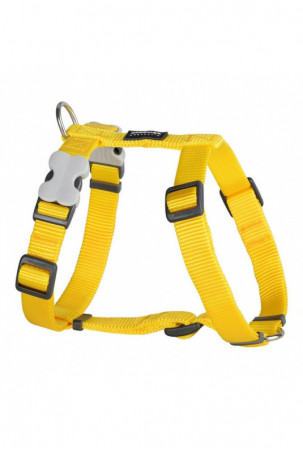 Šuns pakinktai Red Dingo...