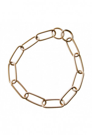 Šuns antkaklis Hs Sprenger...