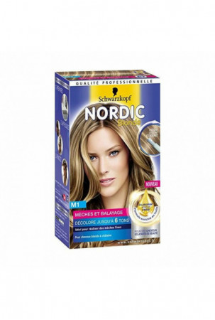 Ilgalaikiai dažai Nordic...