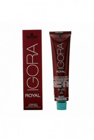 Ilgalaikiai dažai Igora...