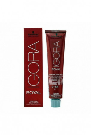 Ilgalaikiai dažai Igora...