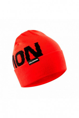 Skrybėlė Salomon Hermitage...