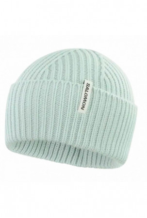 Skrybėlė Salomon Snowbird...