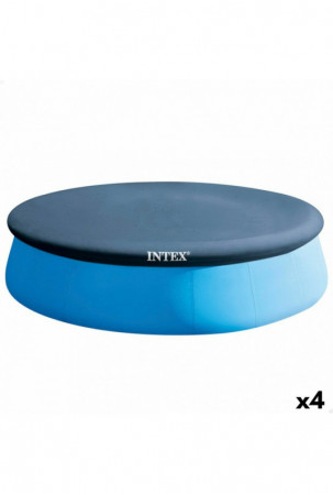 Baseino danga Intex Tamsiai...