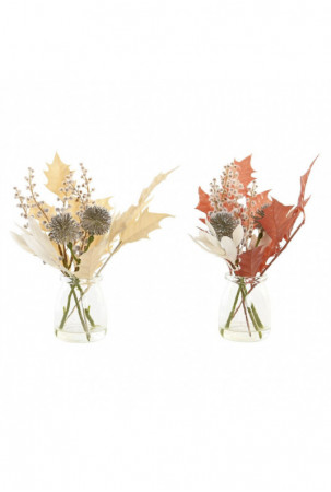 Dekoratyvinis augalas DKD...