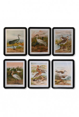 Paveikslas DKD Home Decor...