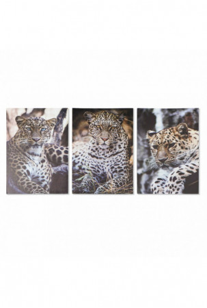 Paveikslas DKD Home Decor...