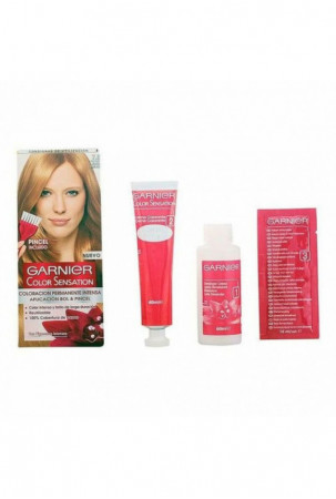 Ilgalaikiai dažai Color...