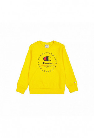 Vyriškas džemperis be...