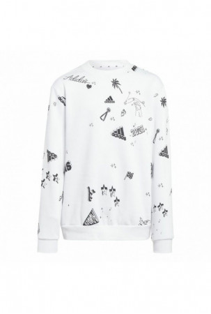 Megztinis be kapišono...