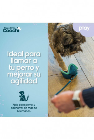 Šuns pakinktai Coachi