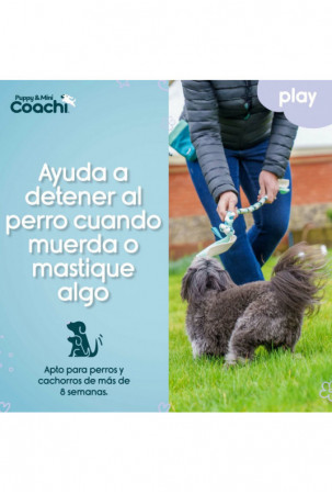 Šuns pakinktai Coachi