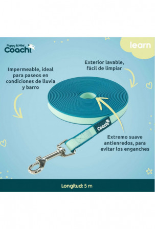 Šuns pakinktai Coachi