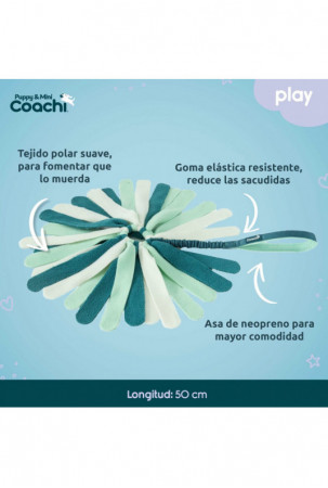 Šuns pakinktai Coachi