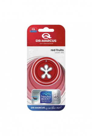 Automobilio oro gaiviklis...