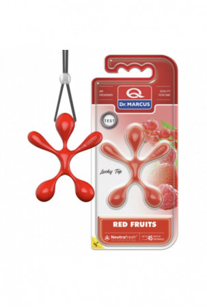 Automobilio oro gaiviklis...