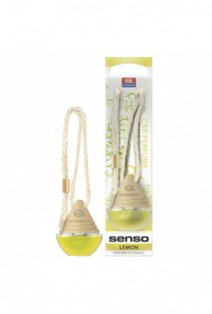 Automobilio oro gaiviklis...