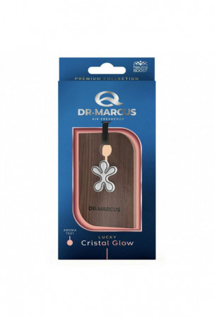 Automobilio oro gaiviklis...