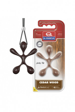 Automobilio oro gaiviklis...