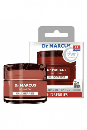 Automobilio oro gaiviklis...