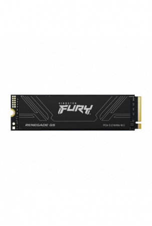 Kietasis diskas Kingston...