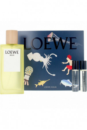 Vyrų kvepalai Loewe Agua