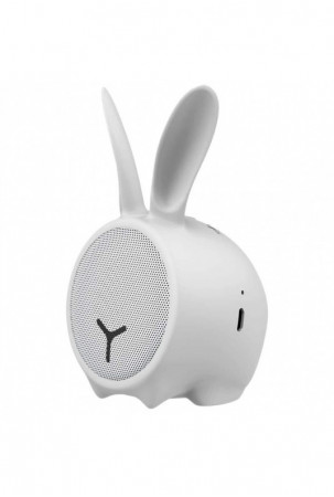 Bluetooth garso kolonėlės...