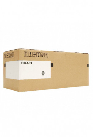Dažiklis Ricoh P 501H Juoda