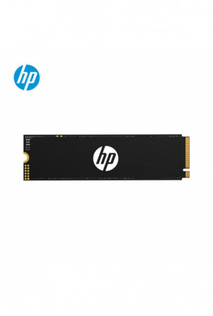 Kietasis diskas HP FX700