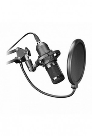 Stalinis mikrofonas Mars...